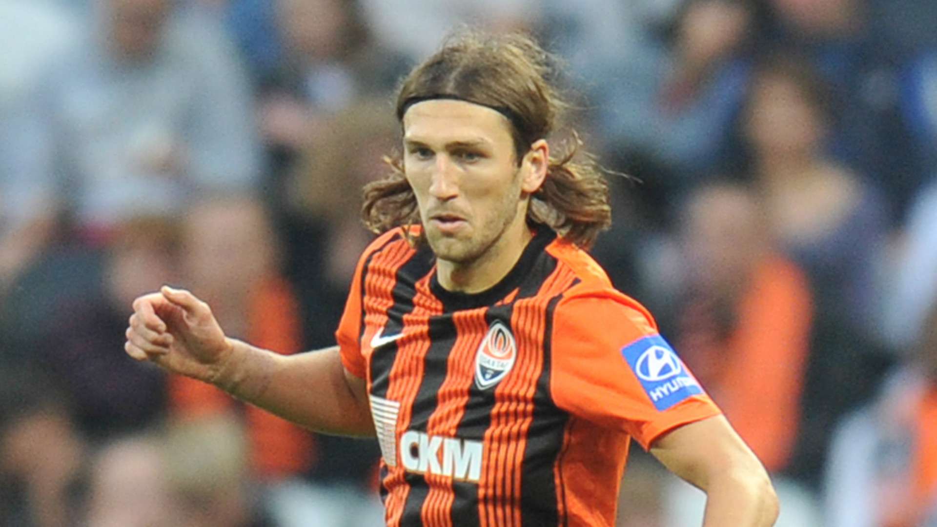 如果能在内 如果能在内