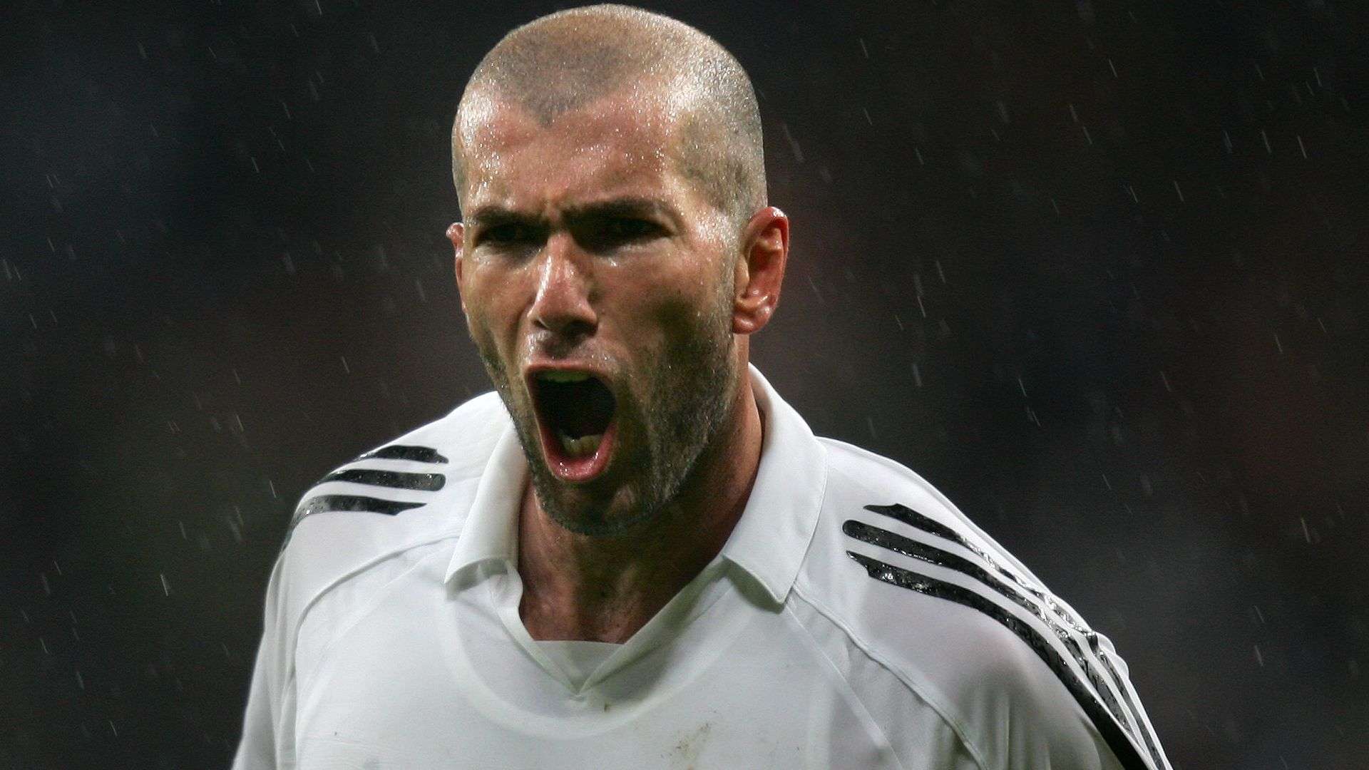 星的摇篮 星的摇篮