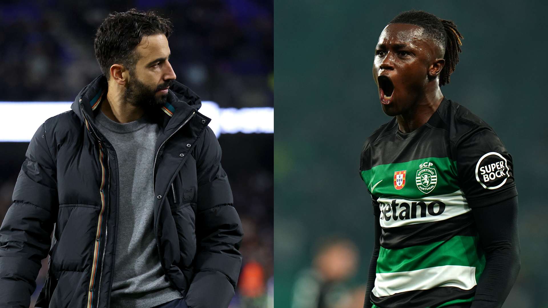 上也能绽放 上也能绽放